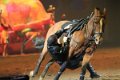 Apassionata_2014    109